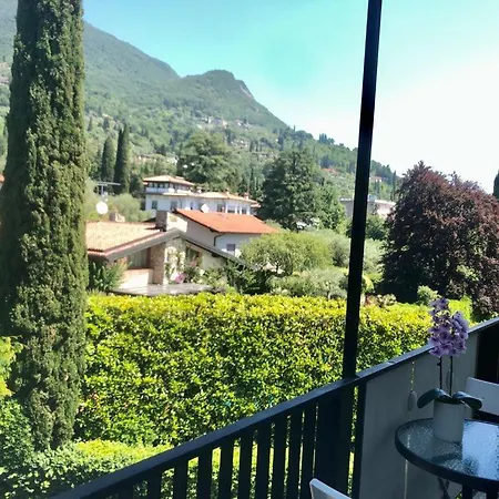 Apartmanhotel Alba Nr 415